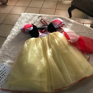 Authentic Disney Costume! Just Dress and Cape